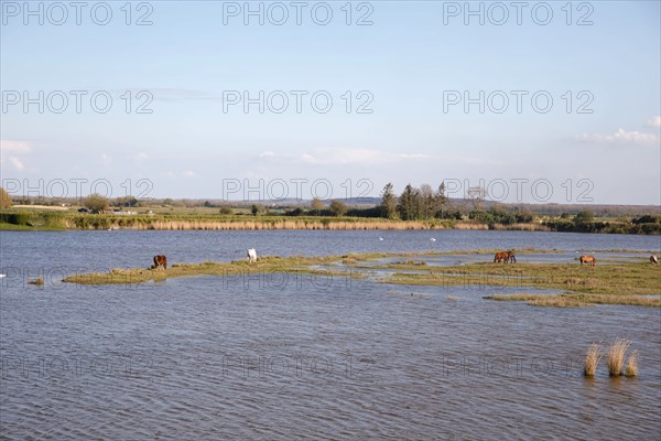 Saint-Valery-sur-Somme, Somme