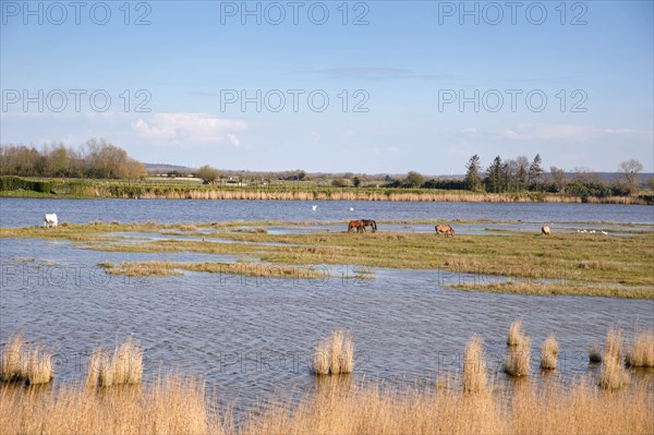 Saint-Valery-sur-Somme, Somme