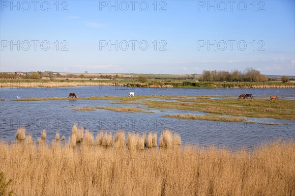 Saint-Valery-sur-Somme, Somme