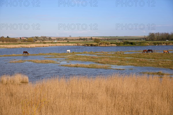 Saint-Valery-sur-Somme, Somme