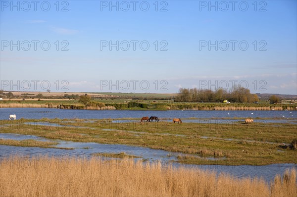 Saint-Valery-sur-Somme, Somme