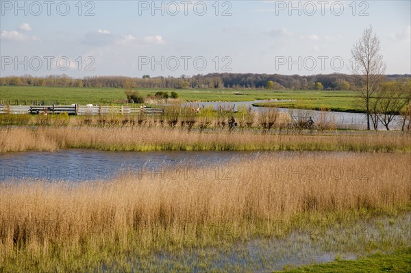 Saint-Valery-sur-Somme, Somme