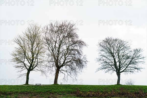 Saint-Valery-sur-Somme, Somme