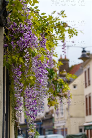 Saint-Valery-sur-Somme, Somme