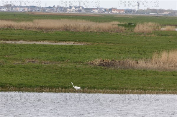 Saint-Valery-sur-Somme, Somme