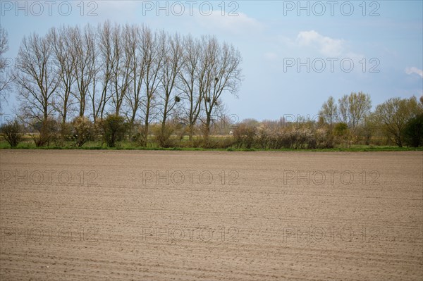 Paysage entre Le Crotoy et Saint-Valery-sur-Somme