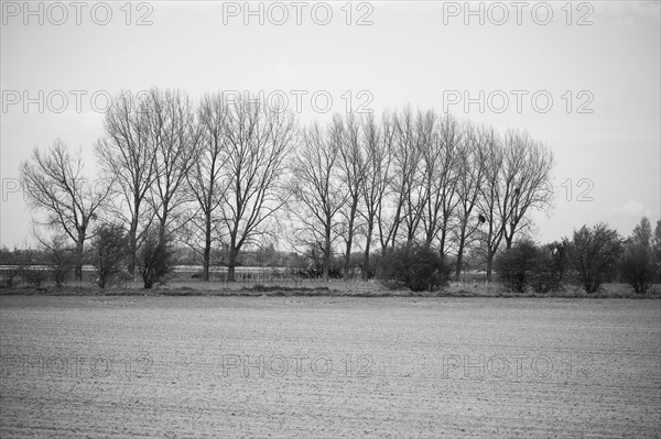 Paysage entre Le Crotoy et Saint-Valery-sur-Somme