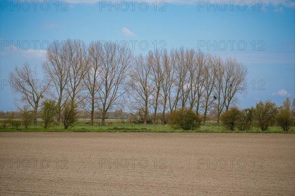 Paysage entre Le Crotoy et Saint-Valery-sur-Somme