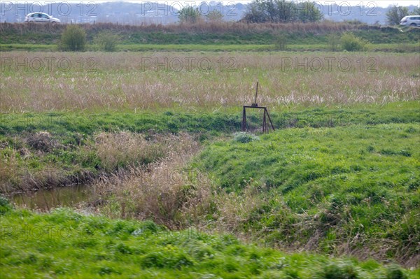 Paysage entre Le Crotoy et Saint-Valery-sur-Somme