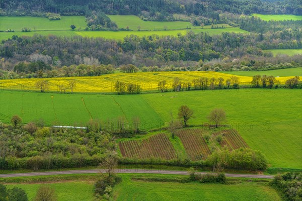 Vézelay, Yonne