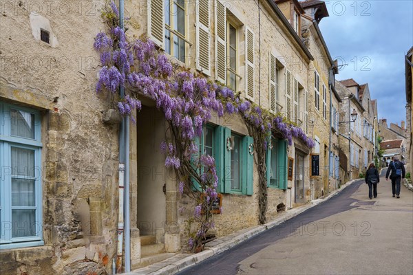 Vézelay, Yonne