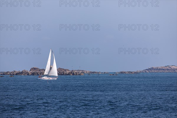 Iles Chausey, Manche