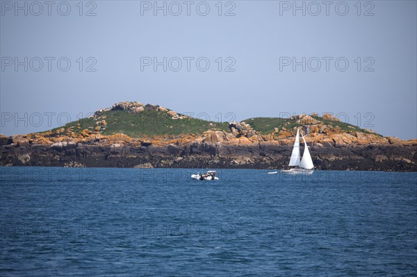 Iles Chausey, Manche