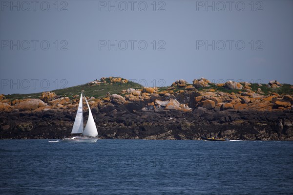 Iles Chausey, Manche