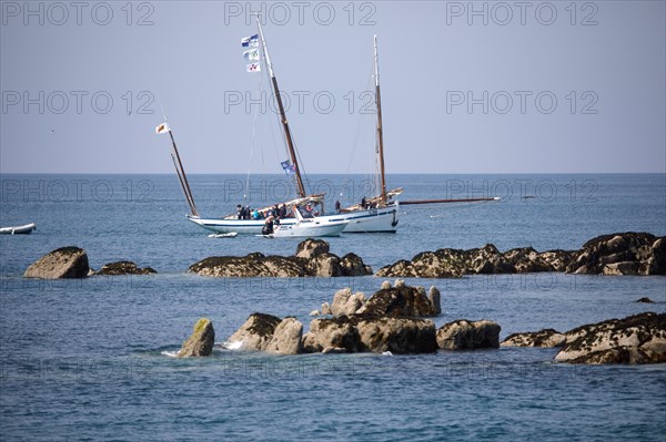 Iles Chausey, Manche