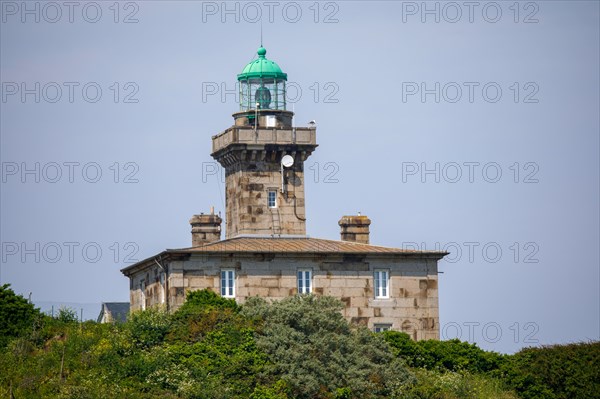 Iles Chausey, Manche