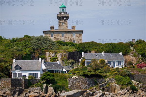 Iles Chausey, Manche