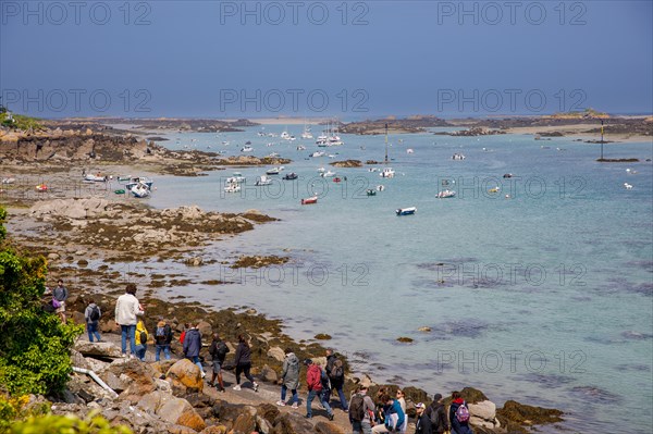 Iles Chausey, Manche