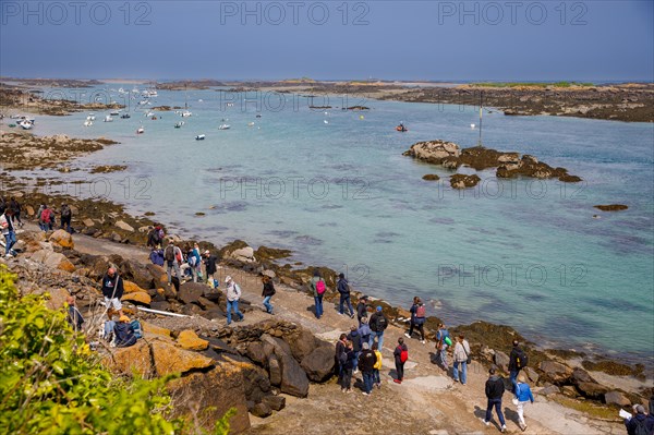 Iles Chausey, Manche