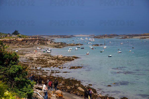 Iles Chausey, Manche