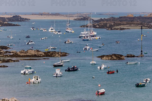 Iles Chausey, Manche