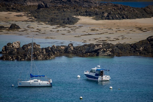 Iles Chausey, Manche