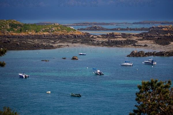 Iles Chausey, Manche