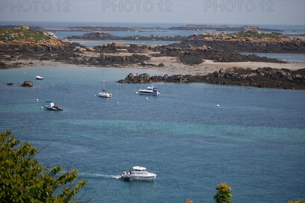 Iles Chausey, Manche