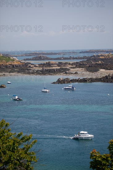 Iles Chausey, Manche