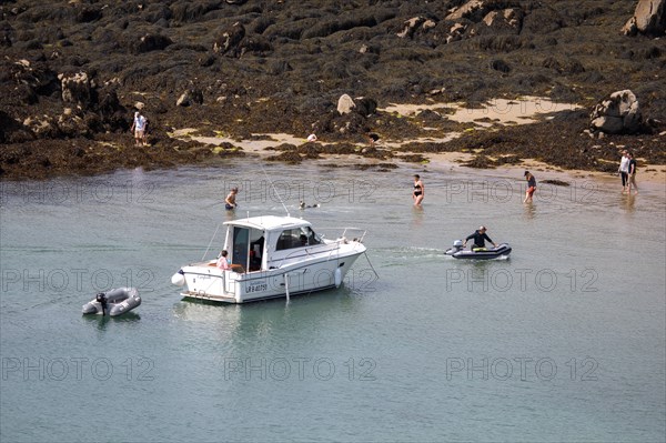 Iles Chausey, Manche