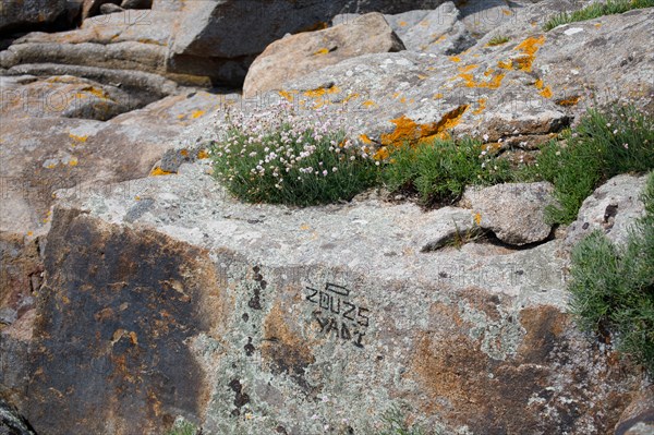 Iles Chausey, Manche