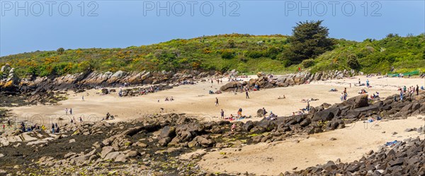 Iles Chausey, Manche