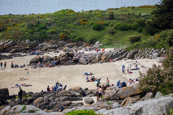 Iles Chausey, Manche