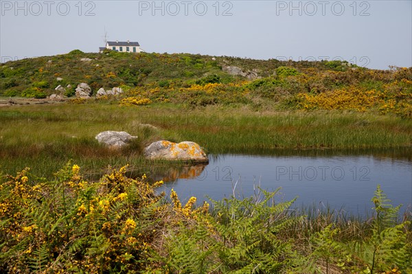 Iles Chausey, Manche