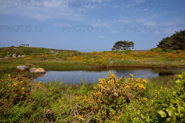 Iles Chausey, Manche