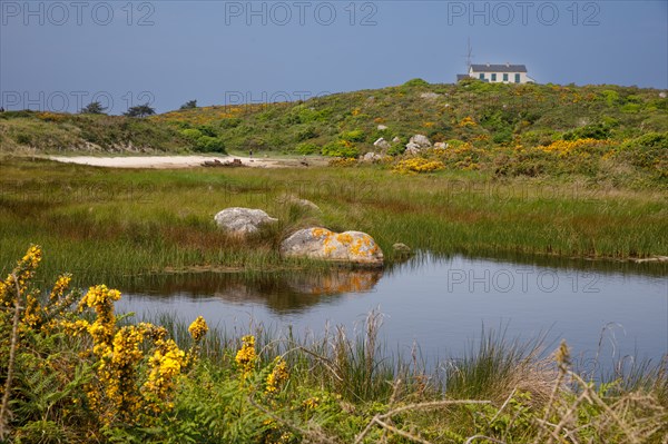 Iles Chausey, Manche