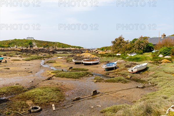 Iles Chausey, Manche