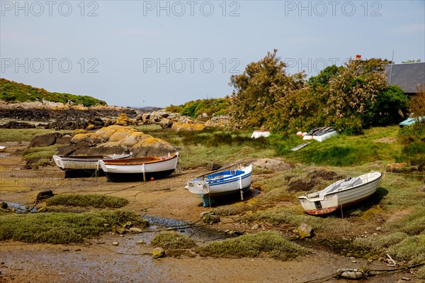 Iles Chausey, Manche