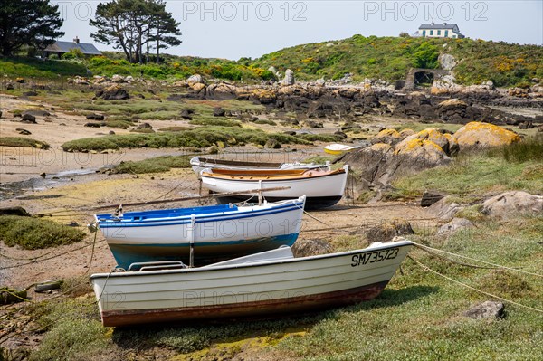 Iles Chausey, Manche