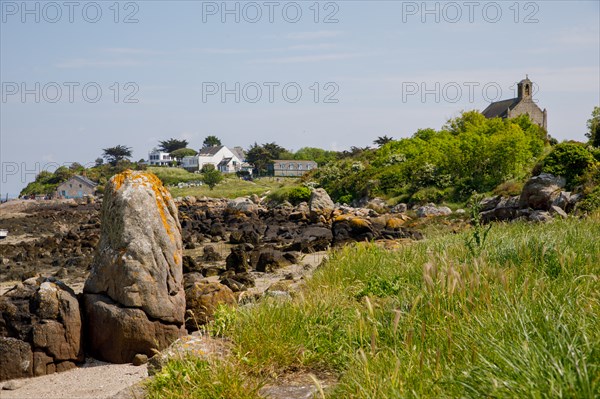 Iles Chausey, Manche