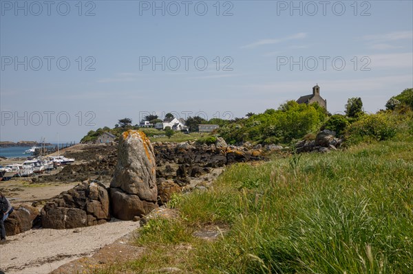 Iles Chausey, Manche