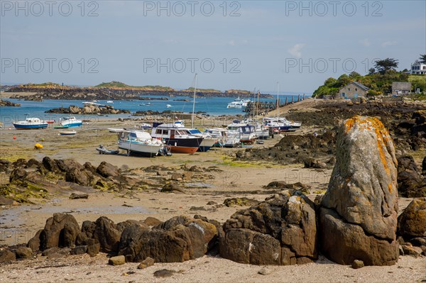 Iles Chausey, Manche