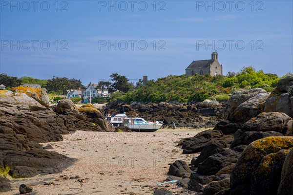 Iles Chausey, Manche