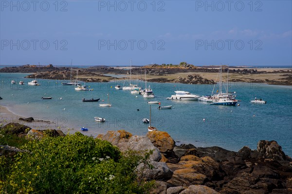 Iles Chausey, Manche