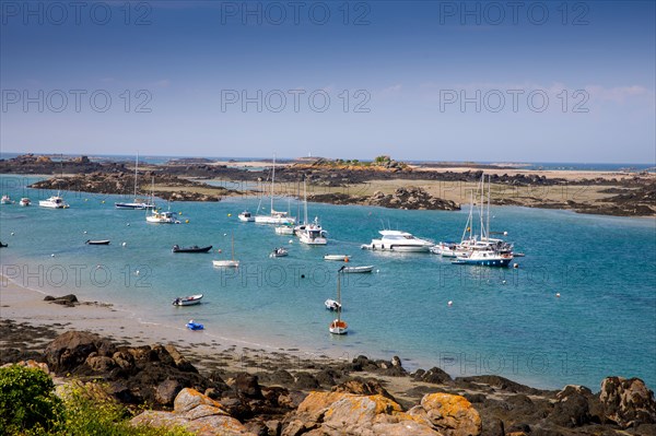 Iles Chausey, Manche