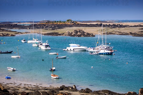 Iles Chausey, Manche