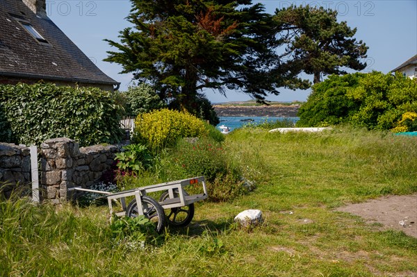 Iles Chausey, Manche