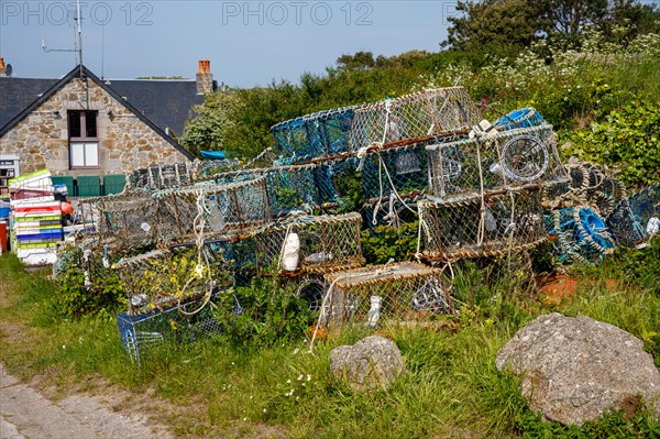 Iles Chausey, Manche