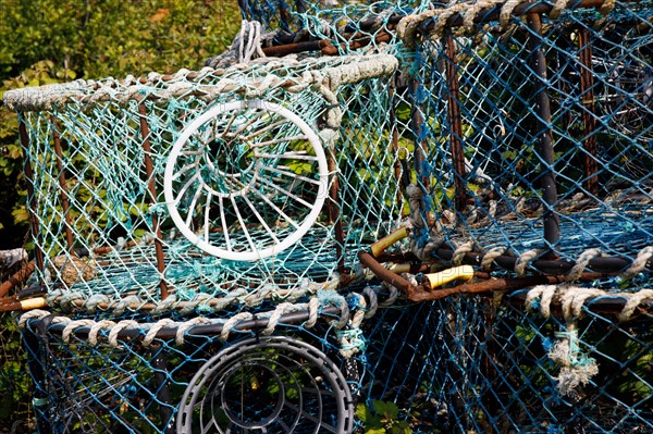 Iles Chausey, Manche