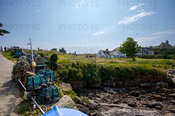 Iles Chausey, Manche